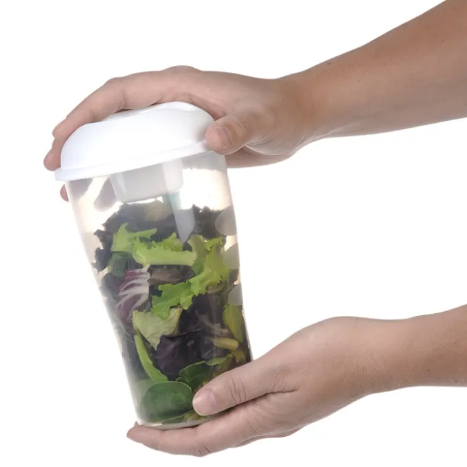 Salad Shaker Set - 24 hr