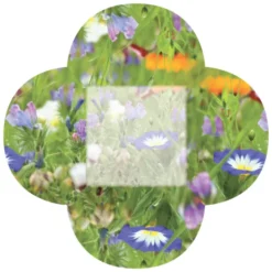 Say It With Seeds Packet - Flowers