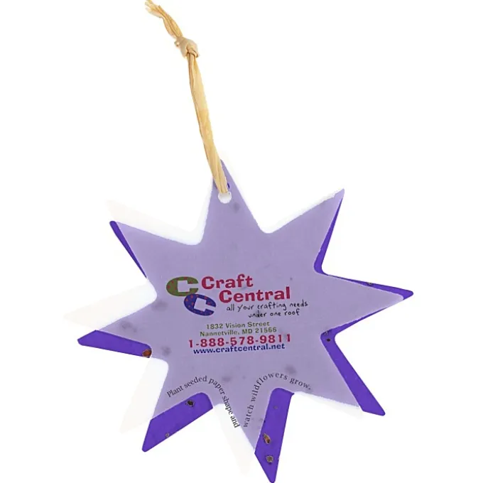 Seeded Paper Ornament - Star