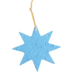 Seeded Paper Ornament - Star
