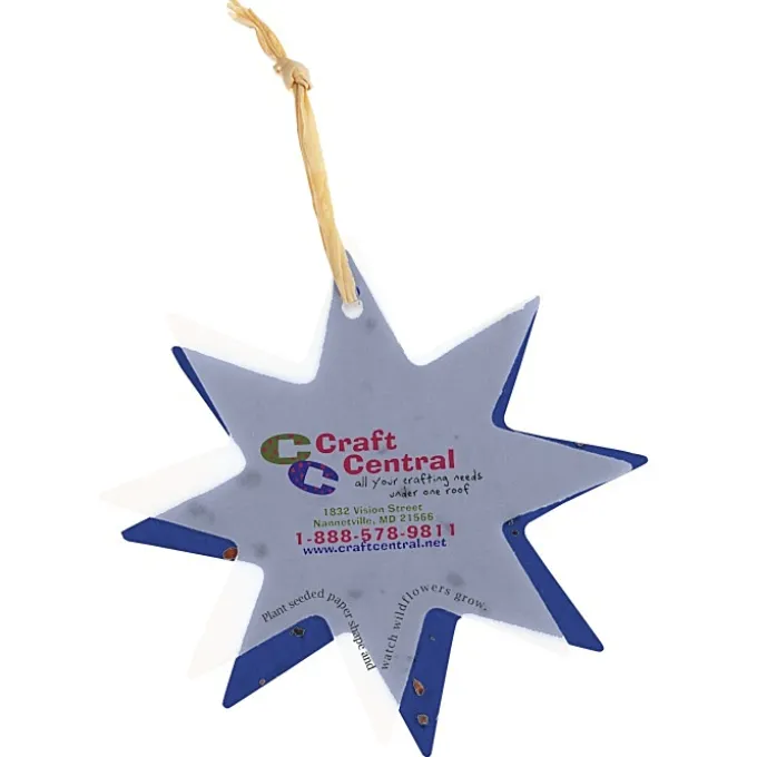 Seeded Paper Ornament - Star