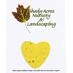 Seeded Paper Shapes Mailer/Postcard - 4 inches x 5 inches Heart