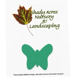 Seeded Paper Shapes Mailer/Postcard - 4 inches x 5 inches Butterfly