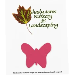 Seeded Paper Shapes Mailer/Postcard - 4 inches x 5 inches Butterfly