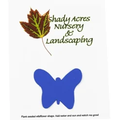 Seeded Paper Shapes Mailer/Postcard - 4 inches x 5 inches Butterfly