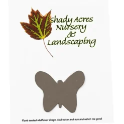 Seeded Paper Shapes Mailer/Postcard - 4 inches x 5 inches Butterfly