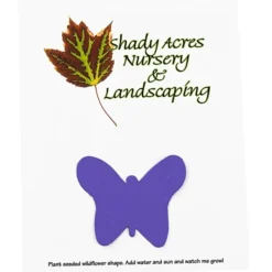 Seeded Paper Shapes Mailer/Postcard - 4 inches x 5 inches Butterfly