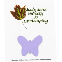 Seeded Paper Shapes Mailer/Postcard - 4 inches x 5 inches Butterfly