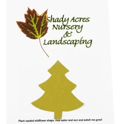 Seeded Paper Shapes Mailer/Postcard - 4 inches x 5 inches Tree
