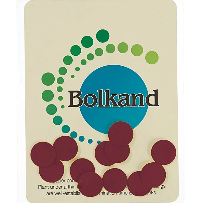 Seed Paper Confetti Pack - Circle