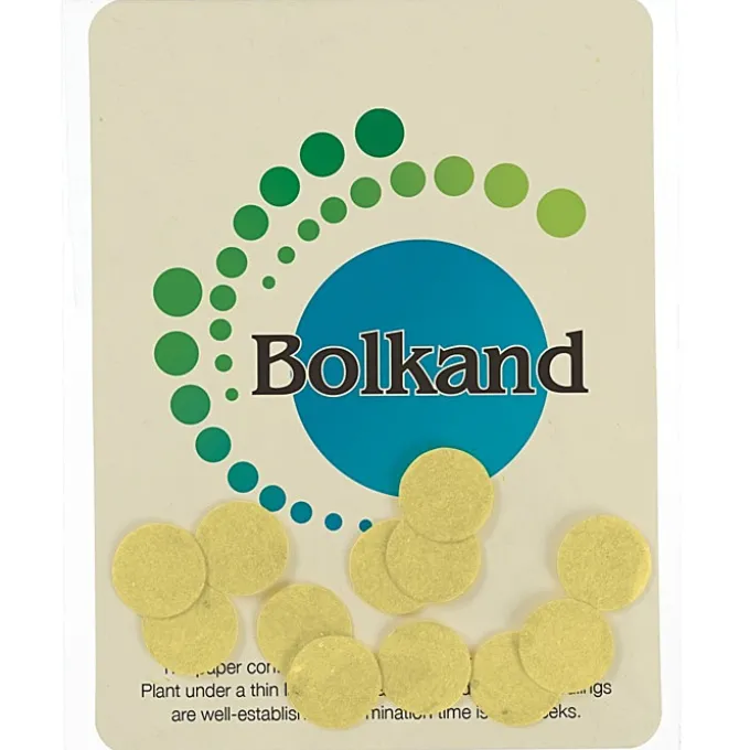 Seed Paper Confetti Pack - Circle