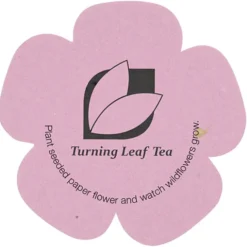 Seed Paper Shapes - Flower - Colors