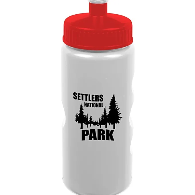 ShimmerZ Mini Mountain Bottle - 22 oz