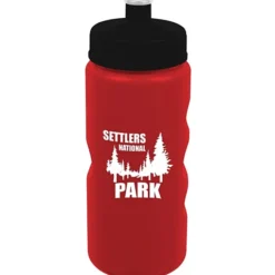 ShimmerZ Mini Mountain Bottle - 22 oz