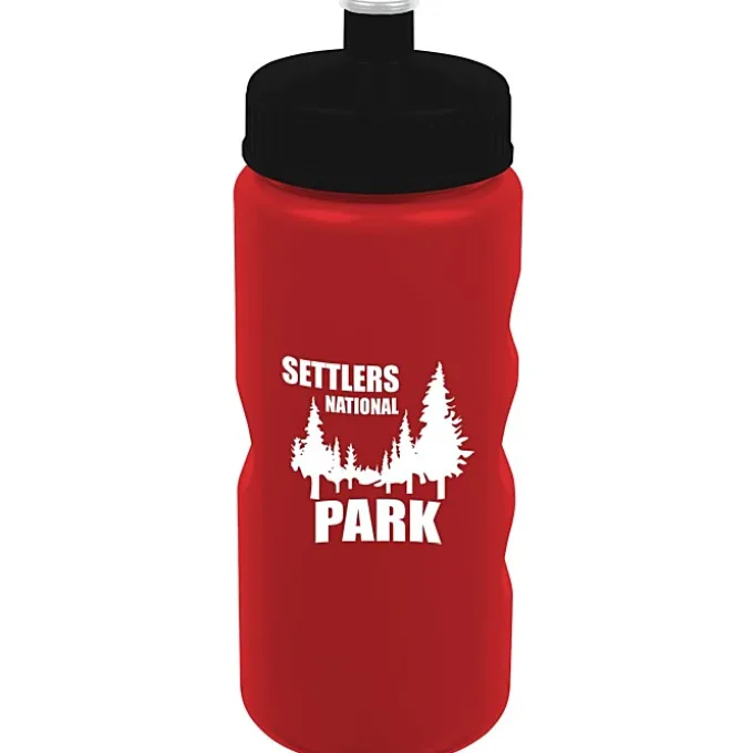 ShimmerZ Mini Mountain Bottle - 22 oz