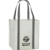 Sparta Grocery Tote - 13 inches x 12 inches