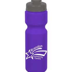 Sport Bottle with Flip Drink Lid - 28 oz - Colors