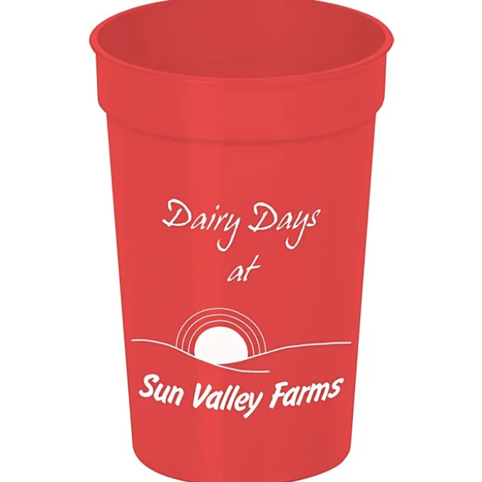 Stadium Cup - 17 oz. - 24 hr