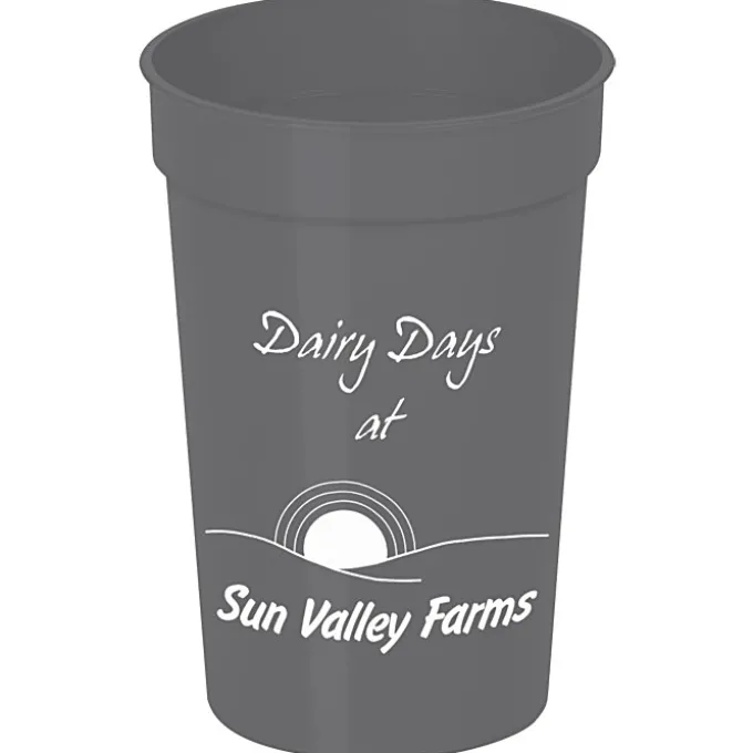 Stadium Cup - 17 oz. - 24 hr
