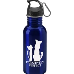 Stainless Adventure Bottle - 18 oz