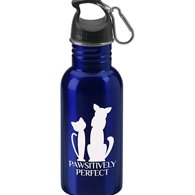 Stainless Adventure Bottle - 18 oz