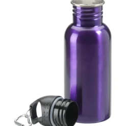 Stainless Adventure Bottle - 18 oz