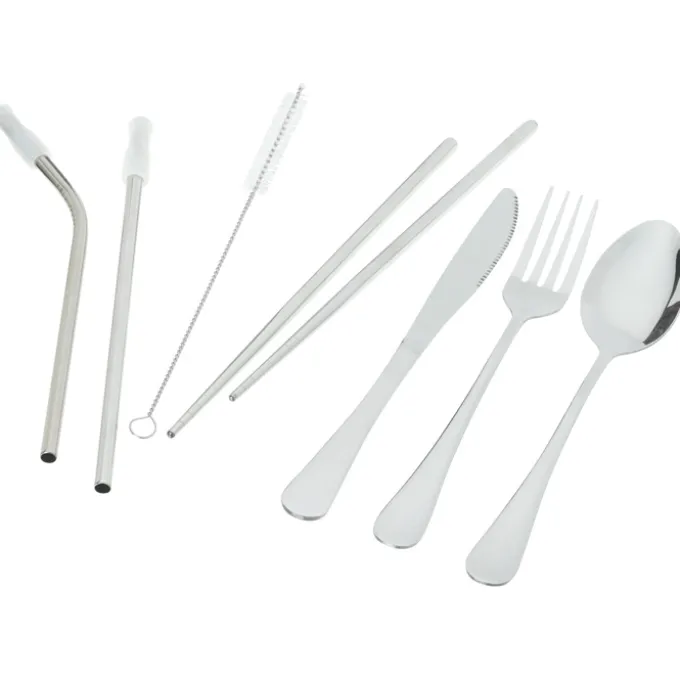 Stainless Cutlery Set in Hard Case
