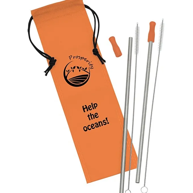 Stainless Steel Straw Set - 2 Pack