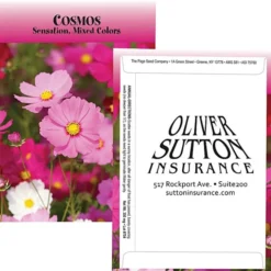 Standard Series Seed Packet - Cosmos