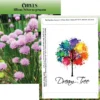 Standard Series Seed Packet - Chives