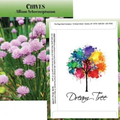 Standard Series Seed Packet - Chives