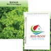 Standard Series Seed Packet - Lettuce