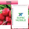 Standard Series Seed Packet - Radish