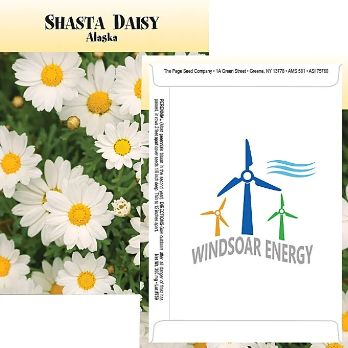Standard Series Seed Packet - Shasta Daisy
