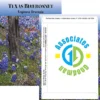 Standard Series Seed Packet - Texas Bluebonnet