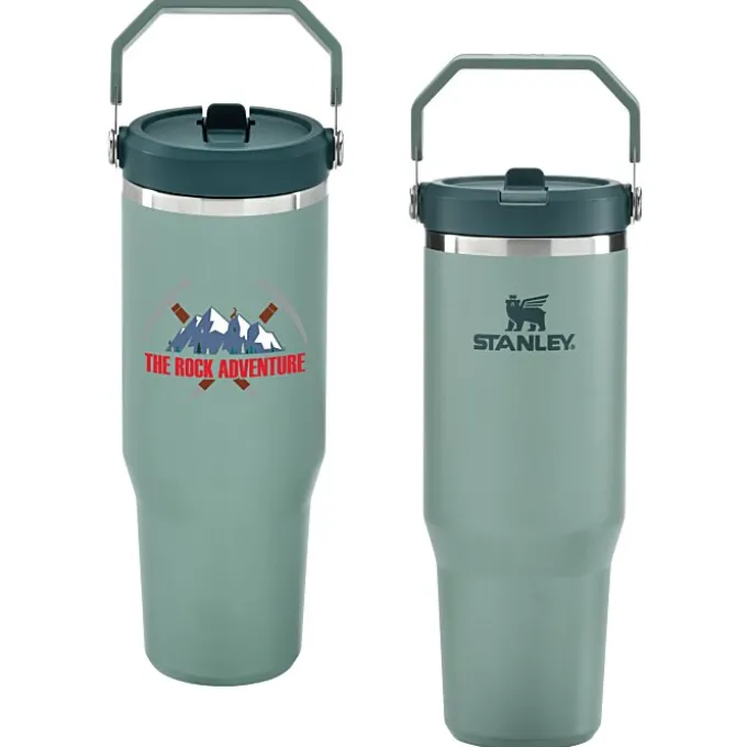 Stanley IceFlow Flip Straw Tumbler - 30 oz - Full Color