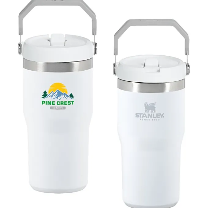 Stanley IceFlow Flip Straw Tumbler - 20 oz - Full Color