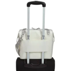 Stanley Julienne 20-Can Cooler - Full Color