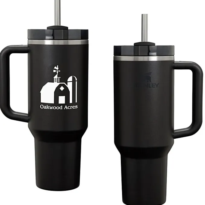 Stanley Quencher H2.0 FlowState Vacuum Mug with Straw - 40 oz - 24 hr