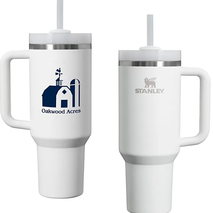 Stanley Quencher H2.0 FlowState Vacuum Mug with Straw - 40 oz - 24 hr