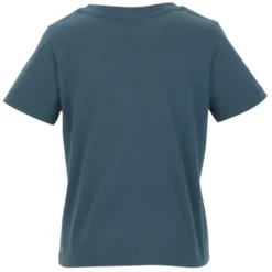 Stanley/Stella Isla V-Neck T-Shirt - Ladies'