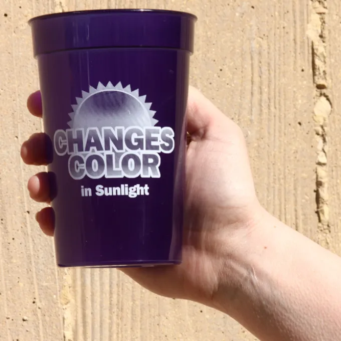 Sun Fun Stadium Cup - 17 oz - 24 hr