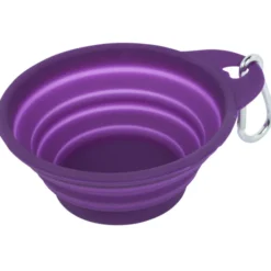 Tag Along Collapsible Pet Bowl - 4 inches
