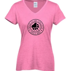 Team Favorite Blended V-Neck T-Shirt - Ladies'