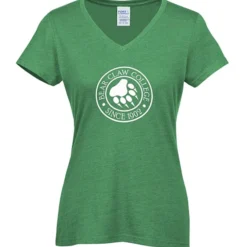 Team Favorite Blended V-Neck T-Shirt - Ladies'