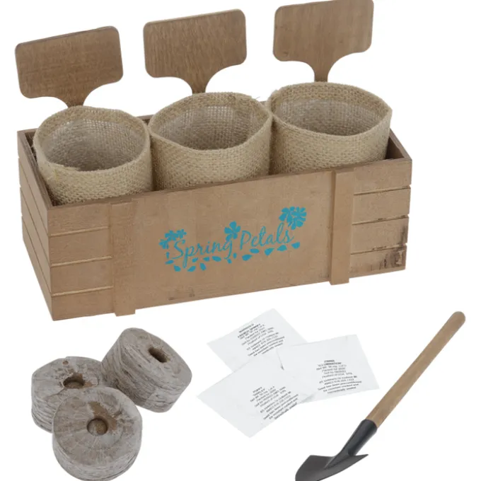 Terzetto Blossom Kit - Flower