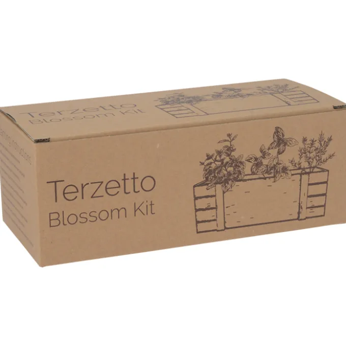 Terzetto Blossom Kit - Herb