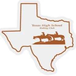 Texas Sticker