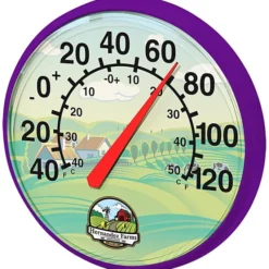 Thermometer - 12 3/4 inches