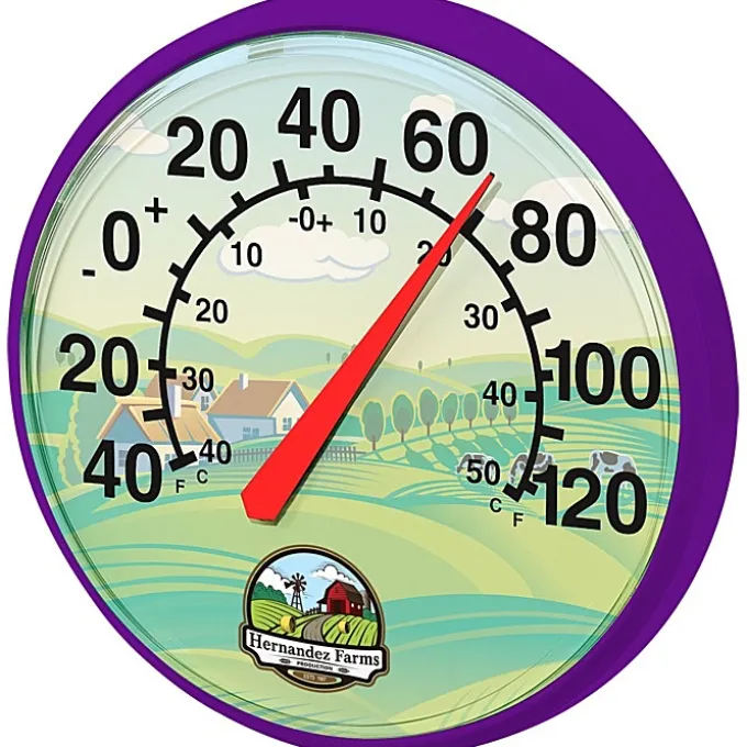 Thermometer - 12 3/4 inches
